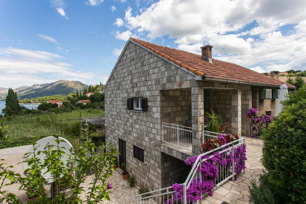 Apartments Maria Donje Celo Bagian luar foto
